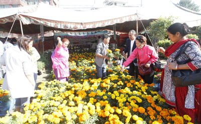 ३० लाख बढिको कारोबार गर्दै सकियो गोदाबरी मेला, २५ हजार बढिले गरे अबलोकन