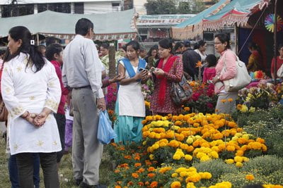 गोदाबरीमेलामा अबलोकनकर्ताको भीड, दोस्रोदिन सम्ममा १७ लाख बढिको कारोबार