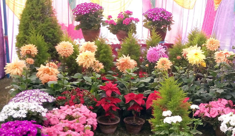 चैत्रको पहिलो हप्ता १८औं पुष्प ब्यापार मेला काठमाडौंमा हुने