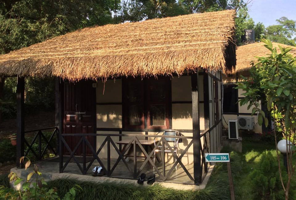 जंगल एड्भेञ्चर वर्ल्डको दशैं तिहारमा सौराहा घुम्ने अफर