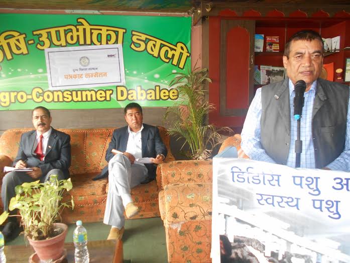 डिडिसीको नयाँ उत्पादन दाना र टि-मिल्क बजारमा