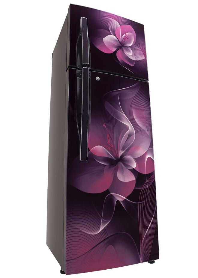 एलजीको नयाँ रेफ्रिजेरेटर बजारमा, ३२ प्रतिशतसम्म उर्जा बचत गर्ने