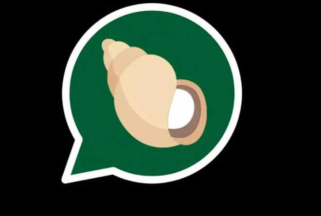 योग गुरु रामदेवको कम्पनीले ल्यायो मेसेजिंग एप, ह्वाट्सएपलाई टक्कर दिने योजना