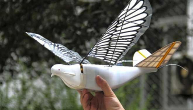 चीनले बनायो ‘रोबोटिक बर्ड’, आकाशबाटै हरेक गतिबिधिमा निगरानी गर्ने