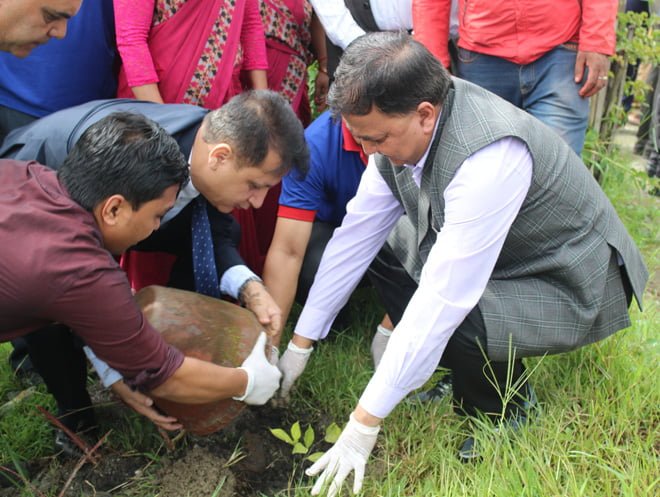 माछापुच्छ्रे बैंकद्वारा वृक्षारोपण कार्यक्रम