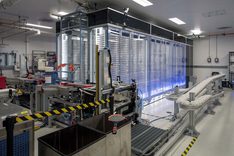 गूगलको प्यारेन्ट कम्पनी अल्फाबेटले ल्याबमा लामखुट्टे उत्पादन गर्दै