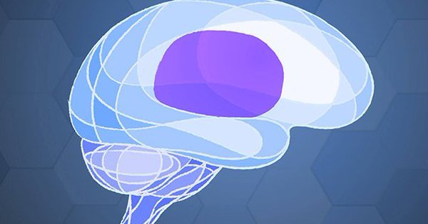 फेसबुकले मानिसको मस्तिष्क पढ्न सक्ने डिभाइस परीक्षण गर्दै, सोचेको भरमा नै टाइप गर्ने