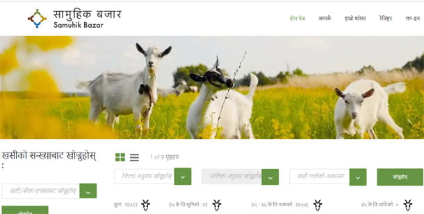 किसानको उत्पादनमा उचित लाभ दिने उद्देश्यसहित ‘सामुहिक बजार’ अनलाइन संचालनमा