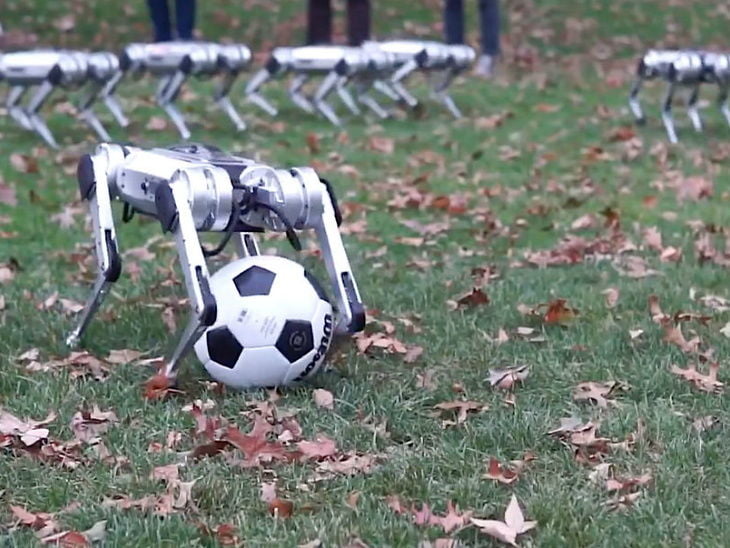 चितुवा जस्तै कुद्न सक्ने रोबोट बनाए विद्यार्थीहरुले, प्रति सेकेण्ड ३० वटा निर्णय लिने क्षमता