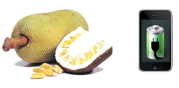 अचम्म! अब रुख कटहरबाट पनि मोबाइल चार्ज हुने, अनुसन्धानकर्ताहरुले गरे सफल परीक्षण