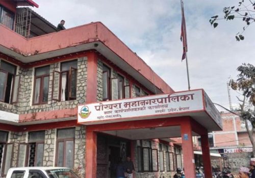 पोखरा महानगरपालिकाले भन्यो- हाल संचालनमा रहेका अनलाइन कक्षाहरु तुरुन्त बन्द गर्नु