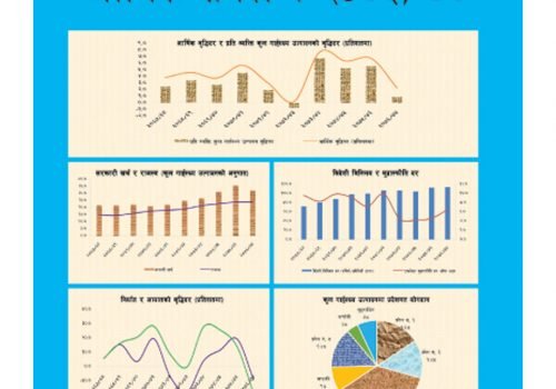 आर्थिक सर्वेक्षणमा ५३५ वटा विद्यालयमा कम्प्यूटर ल्याब, कसले झुक्यायो तथ्यांकमा सरकारलाई ?