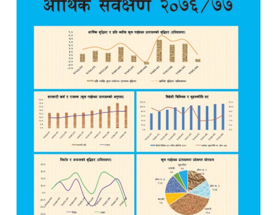 आर्थिक सर्वेक्षणमा ५३५ वटा विद्यालयमा कम्प्यूटर ल्याब, कसले झुक्यायो तथ्यांकमा सरकारलाई ?