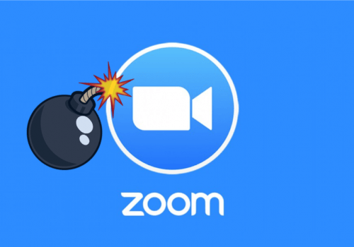 महिला बन प्राविधिक सञ्जालको जूम वेबनारमा जूमबम्बिङ्ग