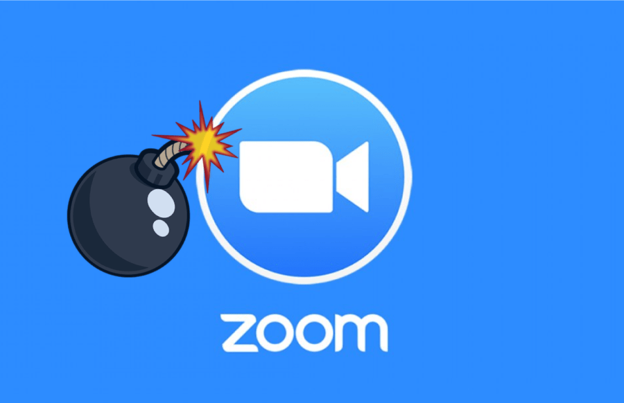 महिला बन प्राविधिक सञ्जालको जूम वेबनारमा जूमबम्बिङ्ग