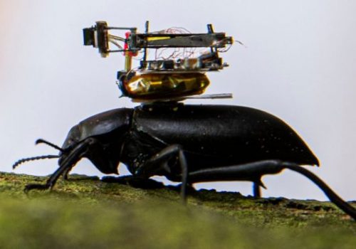 साना किराहरुले समेत बोकेर हिँड्न सक्ने वायरलेस क्यामराको विकास