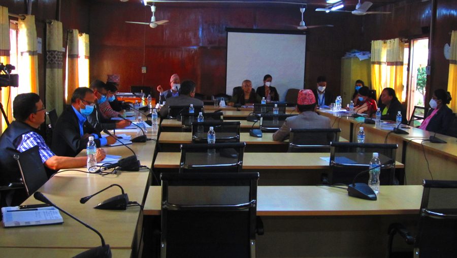 टेलिकमको सेवा बारे विकास समितिमा सांसदहरुद्धारा प्रश्नको वर्षा, अधिकारीहरु भने पुरै बचाऊमा