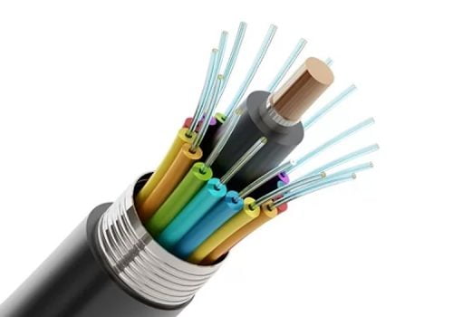 प्रदेश नम्बर ५ का चार जिल्लामा ब्रोडब्याण्ड नेटवर्क निमार्णको काम टेकमाइण्डसले गर्ने