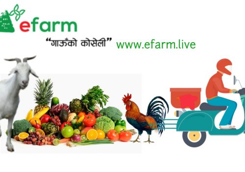 ग्रामीण भेगका किसानका उत्पादन शहरमा अनलाइन डेलिभरी गर्दै ईफार्म