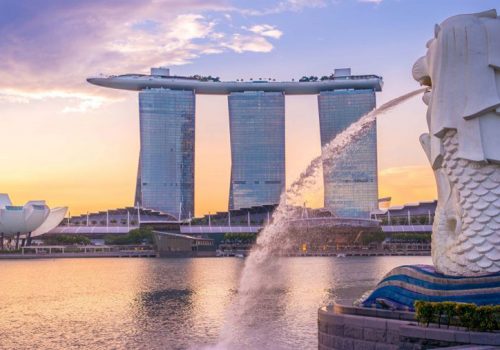 मुटुको जोखिम जाँच बढाउन सिंगापुरले एआई टूल प्रयोग गर्ने