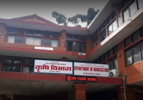 कृषि विभागले भन्यो- कृषि सामाग्रीको अनलाइन बजारमा अवरोध नगर