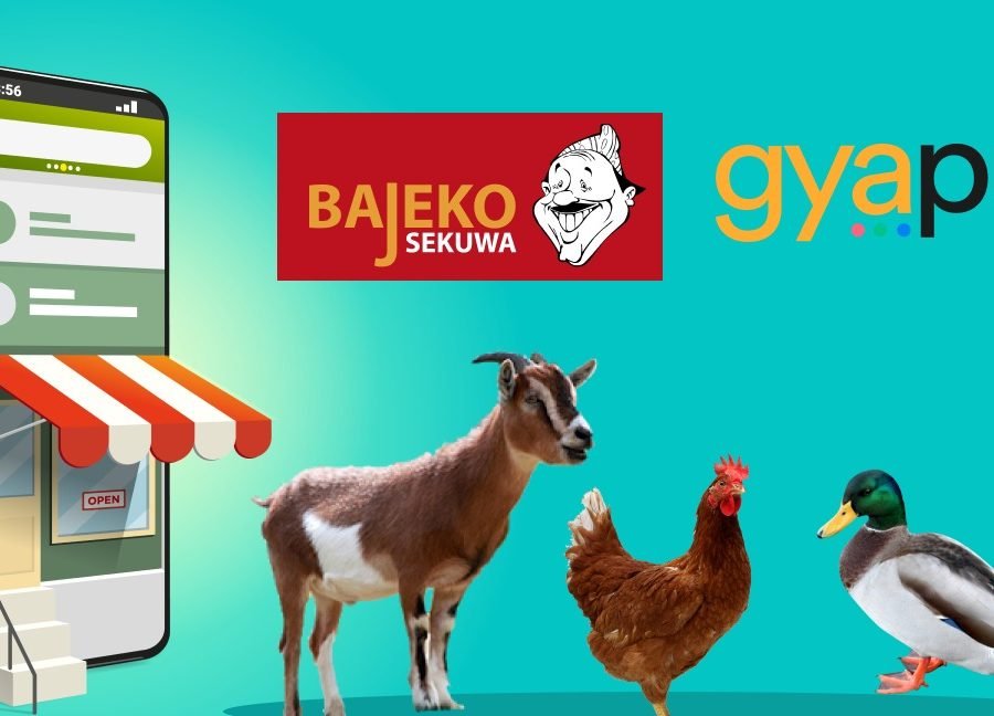 ईकमर्श कम्पनी ग्यापुले दशैंमा लोकल खसी, कुखुरा र हाँसको होम डेलिभरी गर्दै