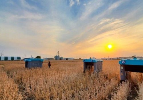 गूगलले बनायो खनिज बाली निरीक्षण गर्ने रोबोट, बाली बिरूवाको सबै जानकारी संकलन गर्ने