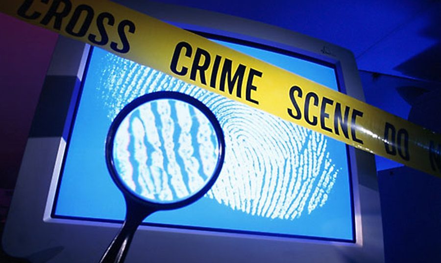 14 Indian nationals trapped in cybercrime scam in Cambodia rescued: Indian Embassy