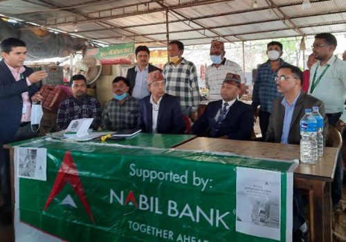नबिल बैंकको क्यूआर भुक्तानी सेवा भैरहवा कान्छी बजारको तरकारी तथा फलफूल बजारमा