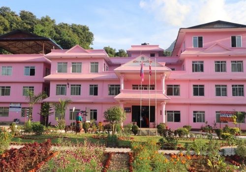 अव्यवस्थित भएको भन्दै वालिङ नगरपालिकाले हटाउँदै टेलिफोन र इन्टरनेटका तार