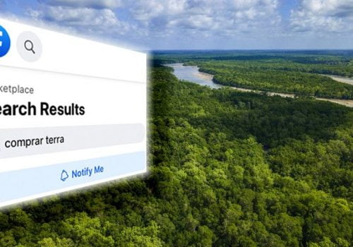 फेसबुकमा राखिएको ब्राजिलको अमेजन जंगल बिक्री विज्ञापनको अनुसन्धान गर्न अदालती आदेश