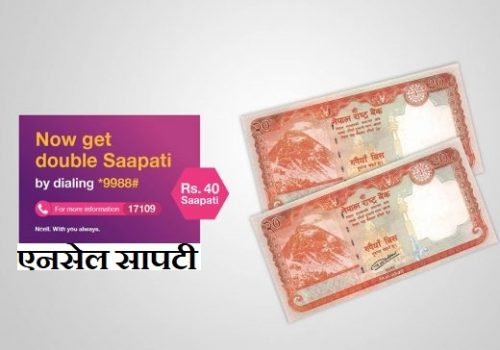 एनसेल सापटी कसरी लिने? यस्तो छ तरिका