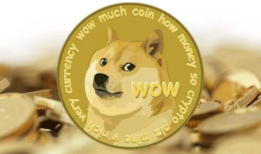 मस्कको भाषणपछि डजिक्वाइनको मूल्यमा ४४ प्रतिशतले गिरावट