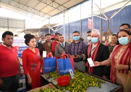 मेगा बैंकको क्यूआर कोड सेवा विश्रान्ति होलसेल तरकारी तथा फलफुल बजारमा