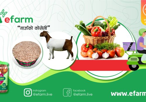 निषेधाज्ञामा पनि घर-घरमै फलफूल, तरकारी र मासुको होम डेलिभरी गर्दै इ फार्म