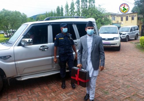 डिजिटल कर्णाली प्रदेशको अवधारणा, सरकारका सेवाहरुलाई प्रविधिमैत्री बनाईने