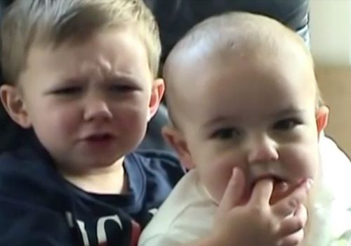 ‘चार्ली बिट मी’ एनएफटीबाट आएको रकम चार्ली दाजुभाइले पढाइमा खर्च गर्ने