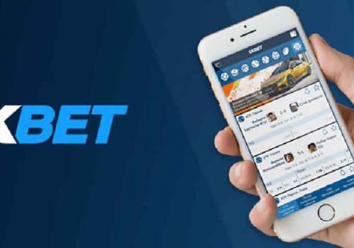 वान एक्स बेटमार्फत सट्टाबाजी गराउने व्यक्ति पक्राउ, ७ करोड ७२ लाख बराबरको कारोबारको अनुमान