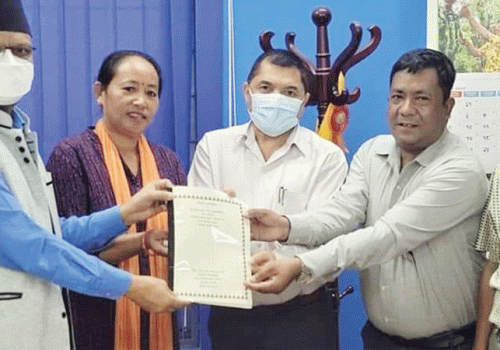 इलेक्ट्रिक भेहिकलको एसेम्बल प्लान्ट निर्माण गर्न सम्झौता