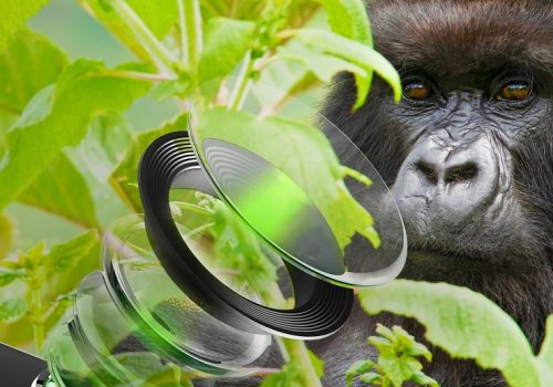 स्मार्टफोनको क्यामराको सुरक्षाका लागि गोरिल्ला ग्लास डीएक्स र डीएक्स+ ल्याउँदै कर्निङ