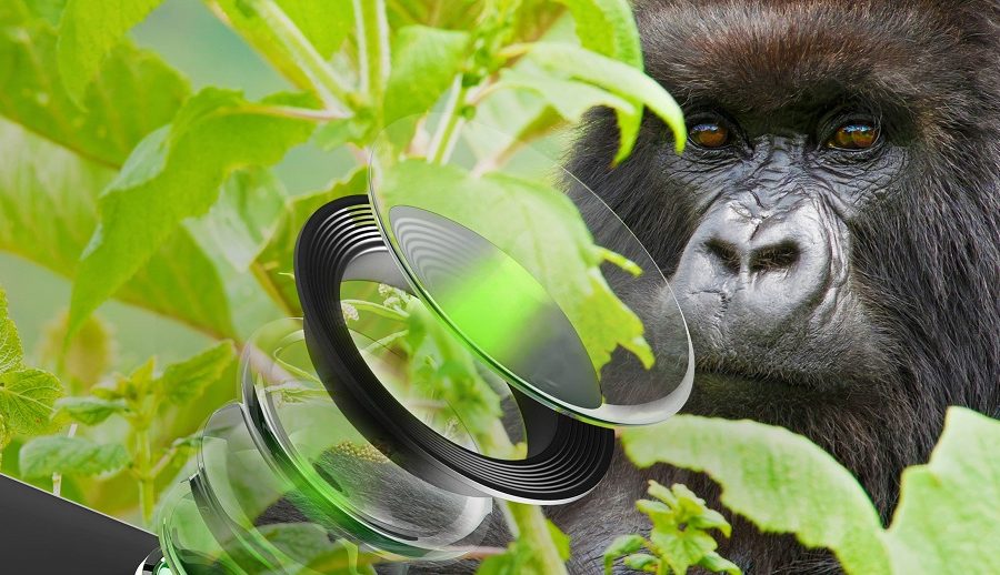 स्मार्टफोनको क्यामराको सुरक्षाका लागि गोरिल्ला ग्लास डीएक्स र डीएक्स+ ल्याउँदै कर्निङ