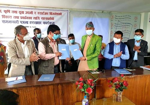 स्टार्टअप र उद्यमशीलता विकास गर्न घरेलु महासंघको स्थानीय तहसँग सहकार्य