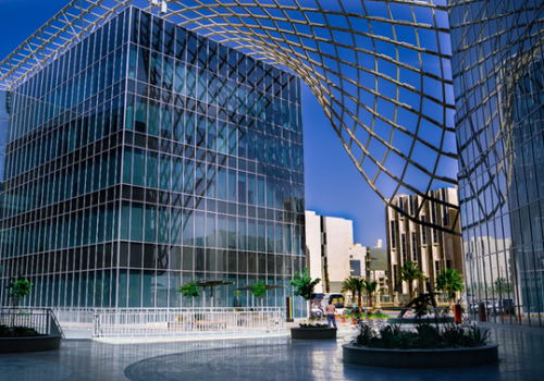 साउदी अरेबियाद्वारा १८ अर्ब डलरको डाटा सेन्टर बनाउने रणनीतिक योजना सार्वजनिक