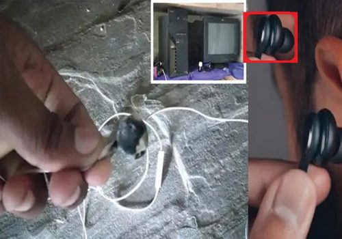 गीत सुन्दासुन्दै कानमै पड्कियो इयरफोन, युवकको मृत्यु