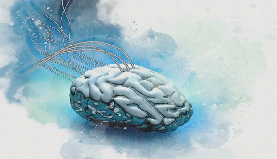 थ्रीडी चिप नेटवर्कमा दिमागलाई कपी-पेस्ट गर्न सकिने सामसङको दावी