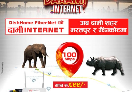 डिशहोम फाइबरनेटको सेवा अब भरतपुर र गैडाकोटमा बिस्तार