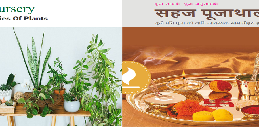 पिनाकिन टेक्नोलोजिजको पूजाथाली डट कम र ई-नर्सरी नेपाल डट कम सुरु