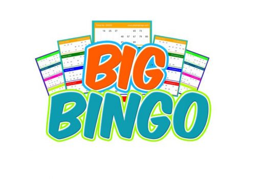 नेपालीहरुले बनाएको बिग बिंगो गेम अब आफ्नो मोबाइलमा नै खेल्न सकिने