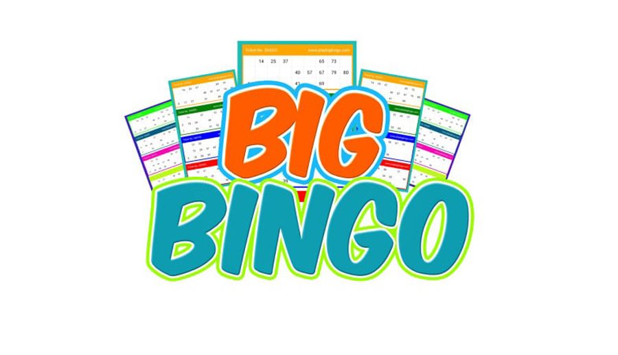 नेपालीहरुले बनाएको बिग बिंगो गेम अब आफ्नो मोबाइलमा नै खेल्न सकिने