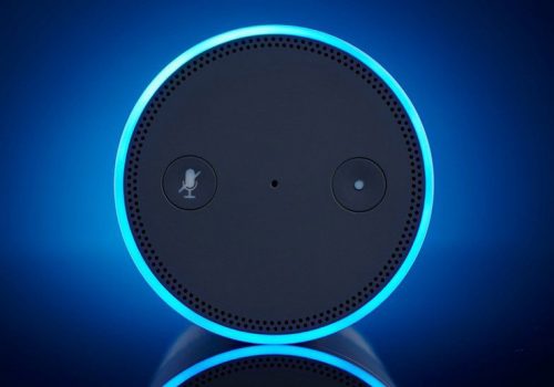 एलेक्साले १० वर्षे बालिकालाई सिक्का लिएर बिजुलीको प्लगमा छुन लगाएपछि…